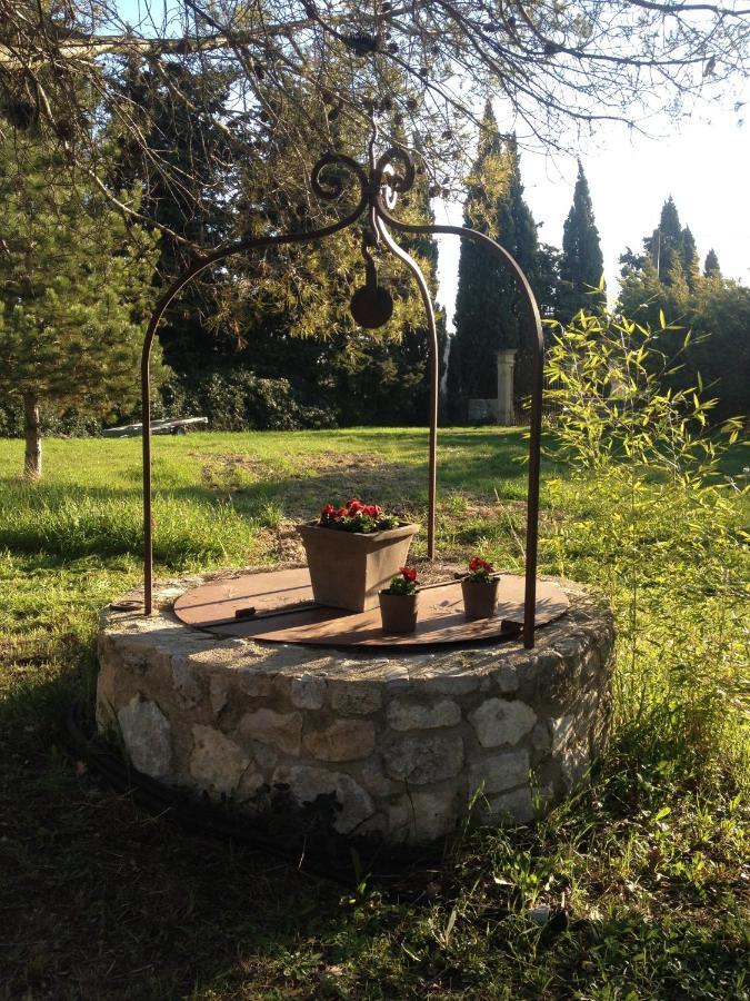 Suite De L'Olivier Au Mas Au Coeur De La Provence &Spa Saint-Cannat Phòng bức ảnh